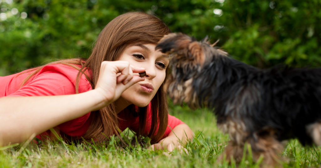 Alimentos para perros: cuida a tu mascota con una dieta apropiada y segura para el estómago